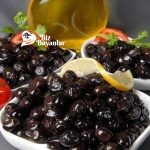 evde zeytin nasil yapilir